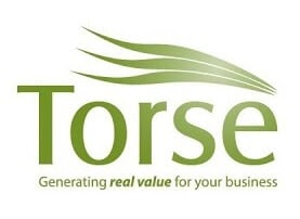 Torse logo