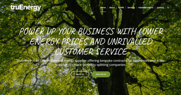 TruEnergy Business Energy Review 2025