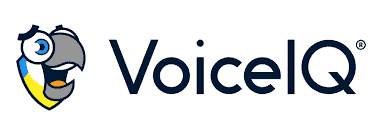 VoiceIQ logo