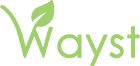 Wayst logo